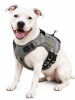 Universal Outdoor Dog Harness With Pet Leash And Snap Shackle Hitched Loop For Dogs