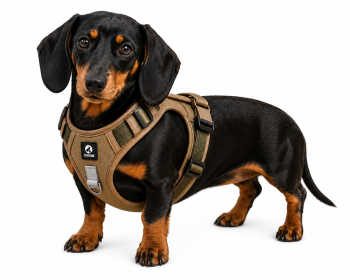 Cross border New Pet Towing Rope Vest Large Dog Chest Strap Reflective Explosion proof Flushing Dog Towing Rope (Product Color: Khaki, Specification (L * W): XL)