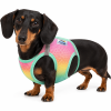 American River Beach Party Ombre Harness
