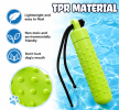 Floating Pool Toy with Storage for Treats