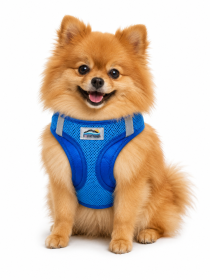 American River Cobalt Blue Dog Harness (Product Size: XXS)