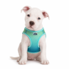 American River Aruba Blue Ombre Dog Harness