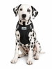 American River Black Dog Harness