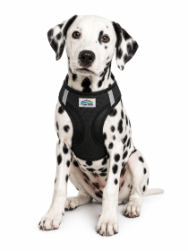 American River Black Dog Harness (Product Size: XXS)