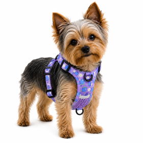 Clip On Vest Style Reflective Harness (Specification (L * W): M, Product Color: Purple)