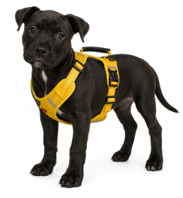 No Pull Pet Harness For Dog & Cat; Adjustable Soft Padded Large Dog Harness With Easy Control Handle (Color: Yellow, size: S)