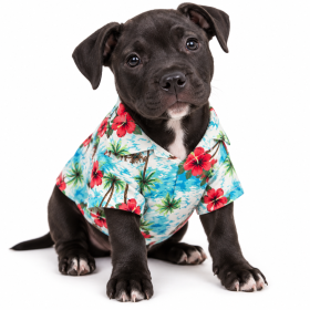 Hawaiian Beach Camp Shirt (colour: Shirt Island Wind Lake Blue, size: XS (about 2-3 kg pet))