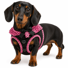 American River Pink and Black Harness (Product Size: XS)