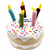 Assorted Plush Birthday Dog Toys