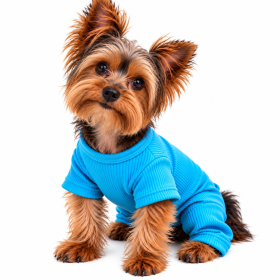 Sweet Dreams Thermal Dog Pajamas Blue (Product Size: XS)