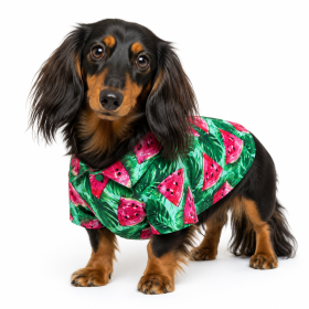 Hawaiian Camp Shirt (Color: Juicy Watermelon, size: XX-Small)