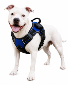 Light Up Dog Harness Rechargeable LED Dog Harness No Pull Lighted Dog Vest with Handle for Small/Medium/Large Dogs (Color: Dark Blue, size: L)