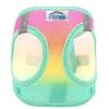 American River Beach Party Ombre Harness