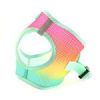 American River Beach Party Ombre Harness