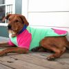 Color-Block Hoodie with Kangaroo Pocket