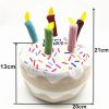 Assorted Plush Birthday Dog Toys