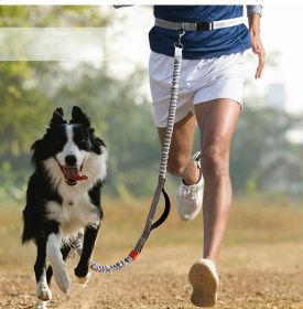 Hands Free Dog Leash for Medium and Large Dogs - Durable Dual Handle Waist Leash with Reflective Bungee for Running; Walking; Training; Hiking (Product Color: Orange -4211, Specification (L * W): 2.5*160cm)
