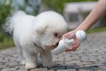 Pet Life 'PYURE' Handheld Travel Water Filter