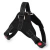 Chest Strap Harness