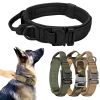 Tactical Collar with Handle