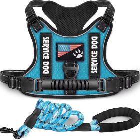 Pet Harness And Leash Set For Dog & Cat; Adjustable No Pull Service Dog Vest Harness For Walking (Color: Lake Blue, size: S)