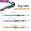 Hands Free Adjustable Leash